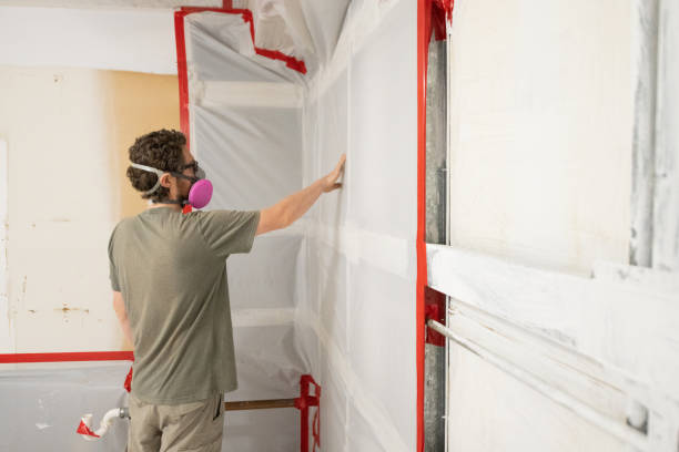 Best Attic Mold Removal  in Mansfield, PA
