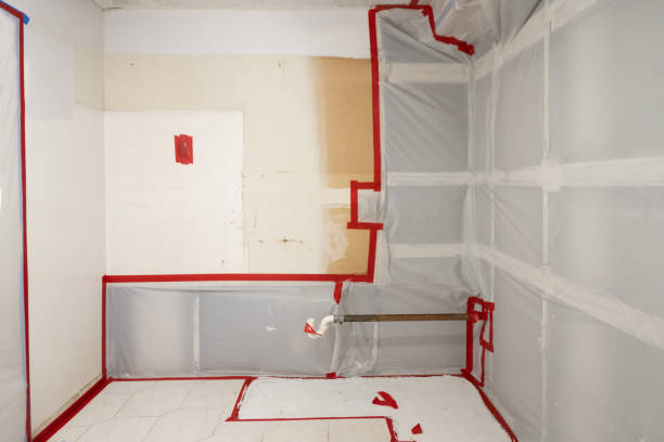 Best Mold Odor Removal Services  in Mansfield, PA