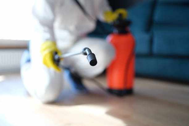 Best Crawl Space Mold Remediation  in Mansfield, PA
